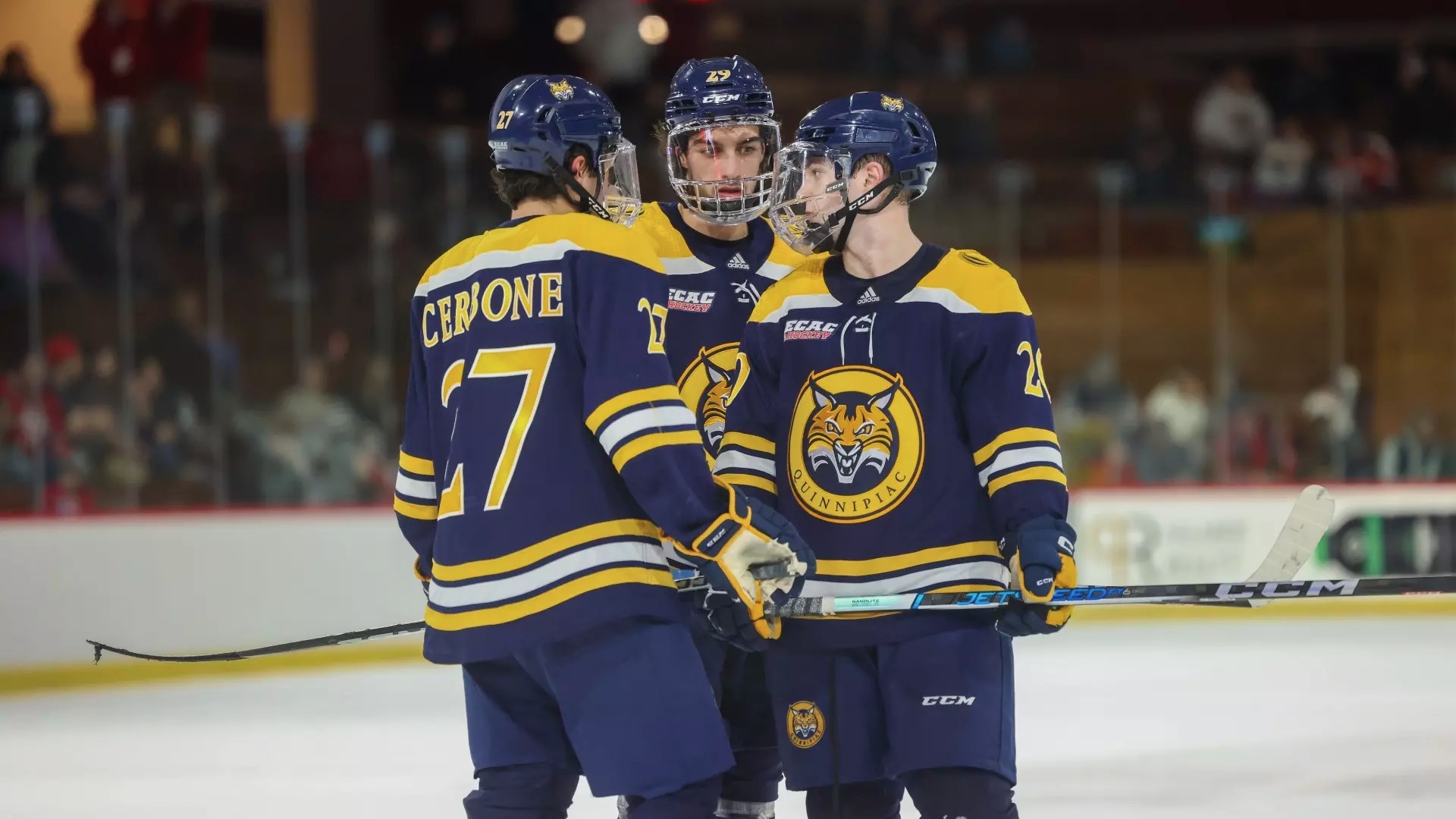 Quinnipiac Bobcats vs Clarkson Golden Knights